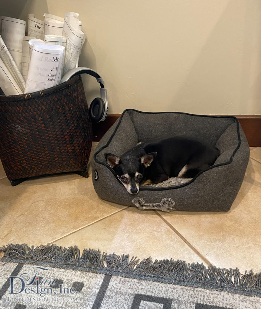 Consider making room for furry friends in your work space.